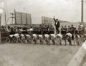 Olympic Games - Start of the 400 Meter Race at the 1904 Olympics
